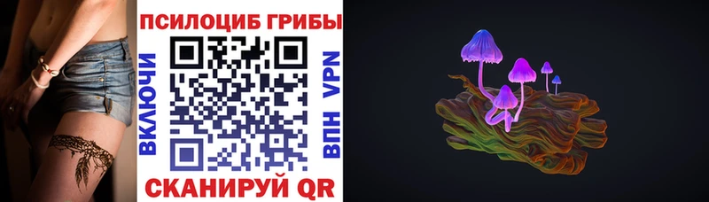 где купить наркотик  ОМГ ОМГ как войти  Псилоцибиновые грибы прущие грибы  Дрезна 